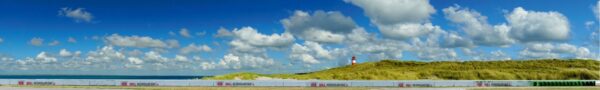Roll Rennstrecke Panorama Düne | Gesamt | DRIFT Deko